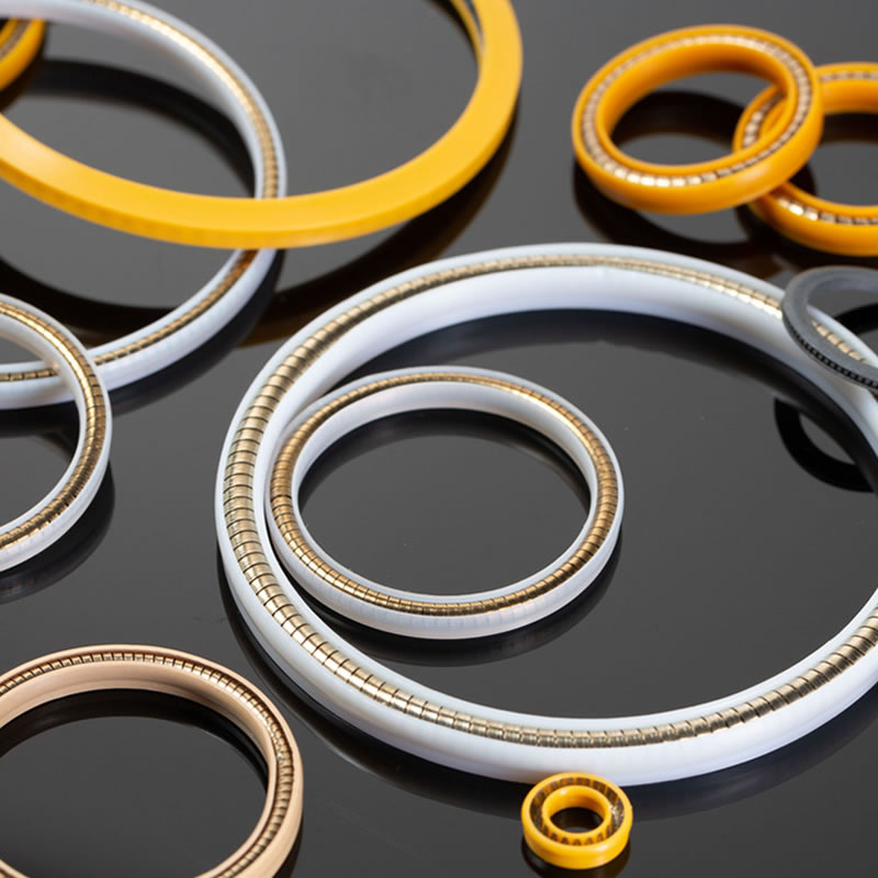 Spring Energized Seals ប្រើសម្រាប់ Cryogenic Valve